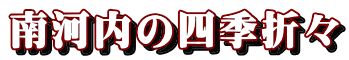 南河内の四季折々